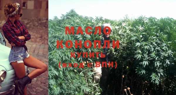 дмт Няндома