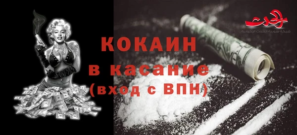 соль ск Алексин